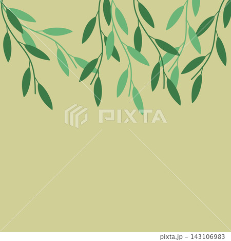 Minimalist botanical square wall art and background with fresh green leafy branches on a pale olive yellow backdrop 143106983