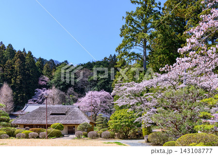 宮城県南部 小さな公園の桜 高倉農林公園 宮城県南部 小さな公園の桜 高倉農林公園 143108777