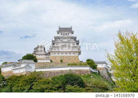 世界遺産三の丸広場から見る姫路城の大天守と天守群 世界遺産三の丸広場から見る姫路城の大天守と天守群 143108970