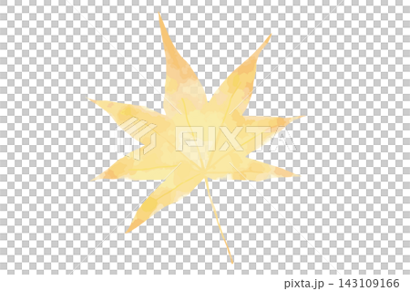 落ち葉  もみじ 水彩  イラスト 1枚 一枚 143109166