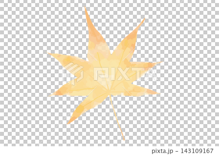 落ち葉 もみじ 水彩 イラスト 1枚 一枚 落ち葉 もみじ 水彩 イラスト 1枚 一枚 143109167