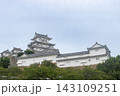 世界遺産天守を見る 143109251