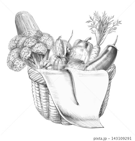 Hand-drawn illustration of a wicker basket with vegetables. An isolated pencil drawing suitable for vegetable shop branding, packaging, cooking classes, nutrition services, or vegan cafes. Hand-drawn illustration of a wicker basket with vegetables. An isolated pencil drawing suitable for vegetable shop branding, packaging, cooking classes, nutrition services, or vegan cafes. 143109291