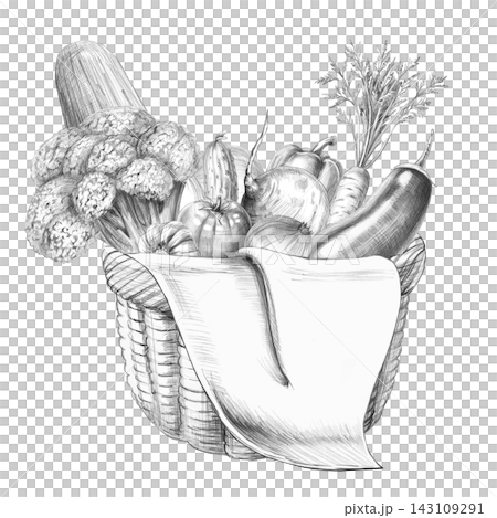 Hand-drawn illustration of a wicker basket with vegetables. An isolated pencil drawing suitable for vegetable shop branding, packaging, cooking classes, nutrition services, or vegan cafes. Hand-drawn illustration of a wicker basket with vegetables. An isolated pencil drawing suitable for vegetable shop branding, packaging, cooking classes, nutrition services, or vegan cafes. 143109291