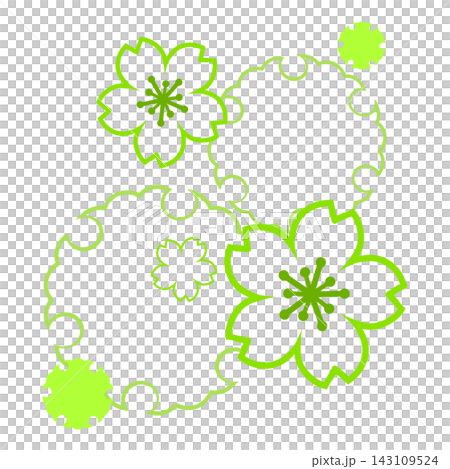 Yellow-green cherry blossoms and snow rings Yellow-green cherry blossoms and snow rings 143109524