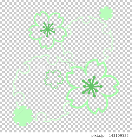 淺綠色的櫻花和雪圈 143109525