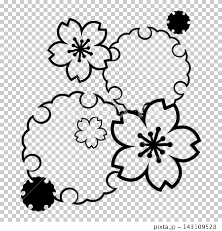 Black cherry blossoms and snow rings Black cherry blossoms and snow rings 143109528