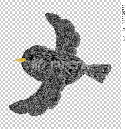 【黑鳥】手工刺繡插畫材料 【黑鳥】手工刺繡插畫材料 143109771