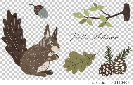 秋日森林中植物和松鼠的插圖 秋日森林中植物和松鼠的插圖 143110408