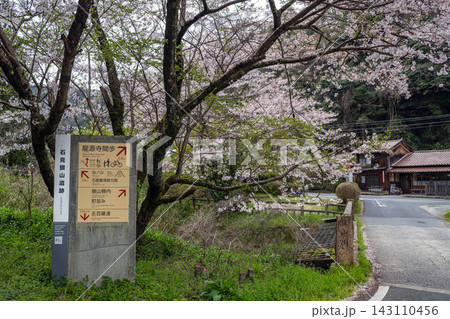 島根 石見銀山の春景色 143110456