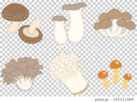 Autumn Delicacies: Commercially Available Mushrooms Autumn Delicacies: Commercially Available Mushrooms 143111494