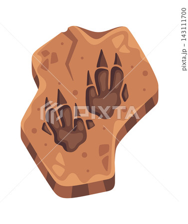 Dinosaur Footprint Fossil Cartoon Style Dinosaur Footprint Fossil Cartoon Style 143111700