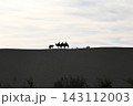 砂漠 143112003