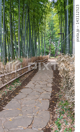 竹藪公園への道 竹藪公園への道 143112523