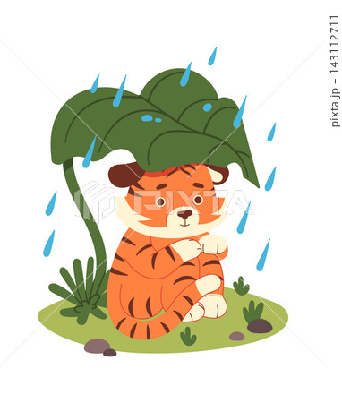 Tiger Cub Sheltering From Rain Cartoon Tiger Cub Sheltering From Rain Cartoon 143112711