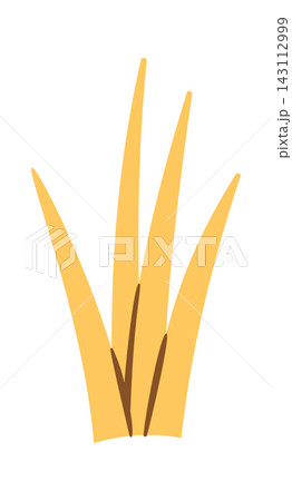 Grass Tuft Autumn Foliage Cartoon Style Grass Tuft Autumn Foliage Cartoon Style 143112999