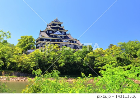 【岡山県】春の岡山城と旭川(春の鳥城灯源郷) 【岡山県】春の岡山城と旭川(春の鳥城灯源郷) 143113316