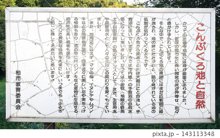 こんぶくろ池自然博物公園 143113348