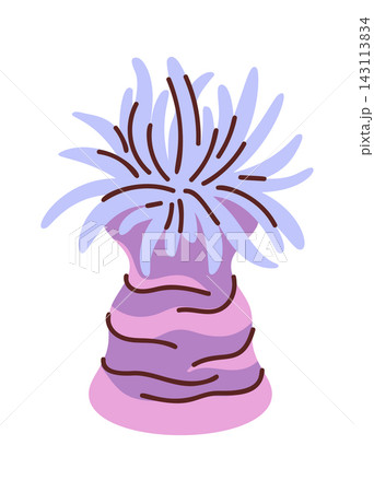 Sea Anemone Tentacles Flowing Cartoon Style Sea Anemone Tentacles Flowing Cartoon Style 143113834