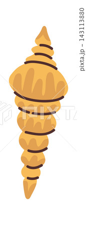 Seashell Spiral Conch Marine Cartoon Seashell Spiral Conch Marine Cartoon 143113880