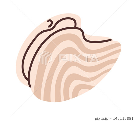 Seashell Abstract Wave Lines Cartoon 143113881