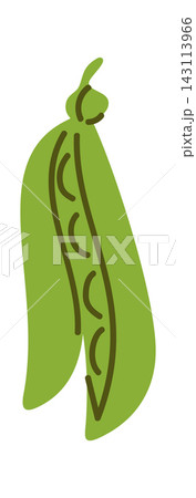Pea Pod Open With Seeds Line Art Pea Pod Open With Seeds Line Art 143113966
