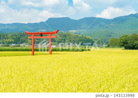 宮崎県えびの市の豊かな田園風景に佇む菅原神社の鳥居 宮崎県えびの市の豊かな田園風景に佇む菅原神社の鳥居 143113998