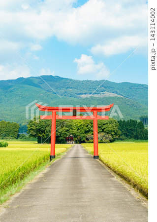 宮崎県えびの市の豊かな田園風景に佇む菅原神社の鳥居 宮崎県えびの市の豊かな田園風景に佇む菅原神社の鳥居 143114002