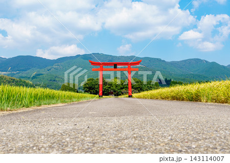 宮崎県えびの市の豊かな田園風景に佇む菅原神社の鳥居 宮崎県えびの市の豊かな田園風景に佇む菅原神社の鳥居 143114007