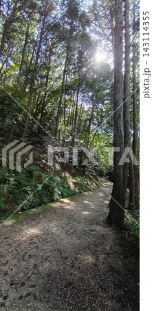 山の中にある道 山の中にある道 143114355