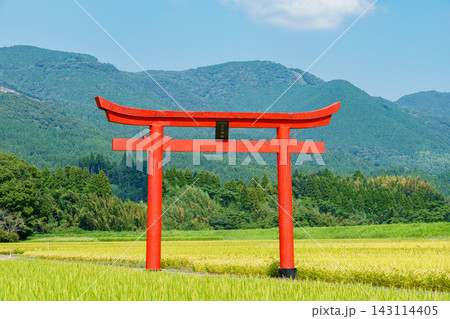 宮崎県えびの市の豊かな田園風景に佇む菅原神社の鳥居 宮崎県えびの市の豊かな田園風景に佇む菅原神社の鳥居 143114405