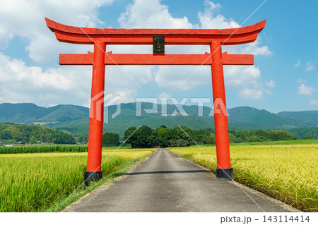 宮崎県えびの市の豊かな田園風景に佇む菅原神社の鳥居 宮崎県えびの市の豊かな田園風景に佇む菅原神社の鳥居 143114414