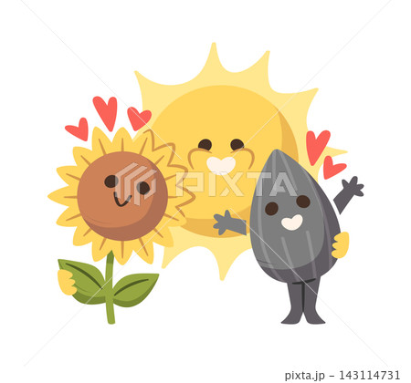 Sunflower Seed And Sun Friendship Cartoon 143114731