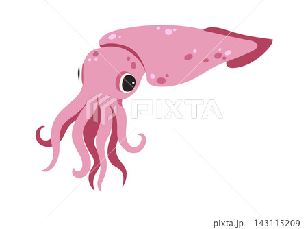 Squid Swimming Side View Cartoon Style Squid Swimming Side View Cartoon Style 143115209