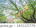 松葉第二近隣公園 143115770