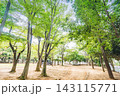 松葉第二近隣公園 143115771