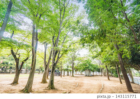 松葉第二近隣公園 143115771