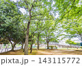 松葉第二近隣公園 143115772