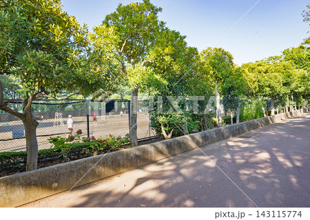松葉第二近隣公園 143115774