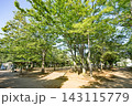 松葉第二近隣公園 143115779