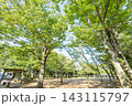 松葉第二近隣公園 143115797