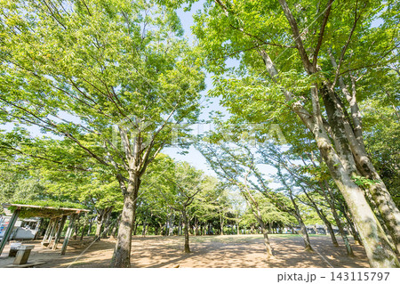松葉第二近隣公園 松葉第二近隣公園 143115797