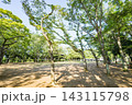 松葉第二近隣公園 143115798