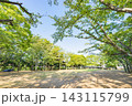 松葉第二近隣公園 143115799