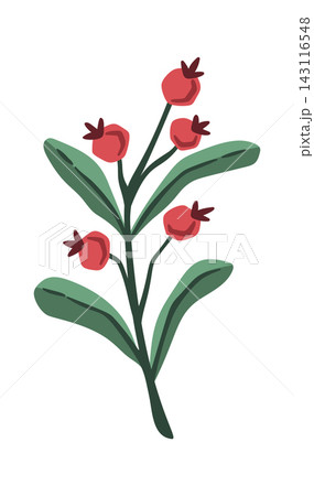 Berry Branch With Leaves Hand Drawn 143116548