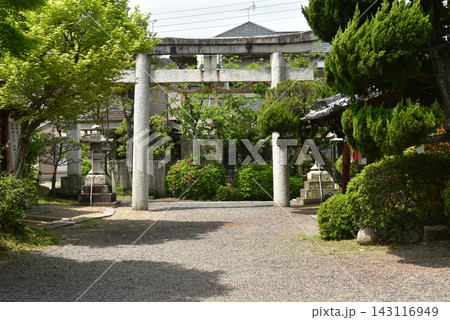 惣社神社の鳥居 143116949
