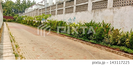 Long straight paving block road in residential complex with lush tropical garden and high concrete fence 143117225