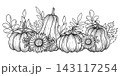 Autumn composition featuring fall leaves, rowan berries, rose hips, sunflower and pumpkin. Hand-drawn botanical vector illustration. Black graphic style. Art for Thanksgiving invitations, packaging. 143117254