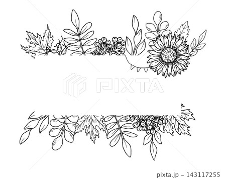 Horizontal frame of autumn leaves with rowan berry, rose hip, sunflower and garland. Hand-drawn vector illustration. For invitations, Thanksgiving quotes, harvest celebrations. Black graphics. 143117255