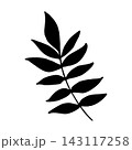 Simple vector illustration of a botanical branch with leaves. Hand-drawn black botanical silhouette. Doodle style graphic drawing for greeting cards, Thanksgiving invitations and weddings, packaging. 143117258